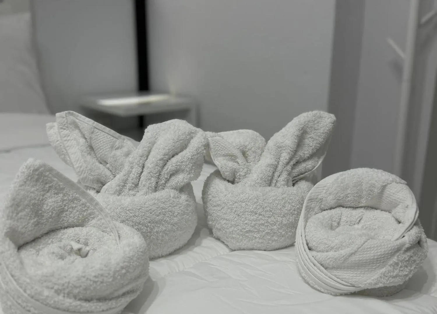 Pensionat Angel'S Studio Apartments Tirana